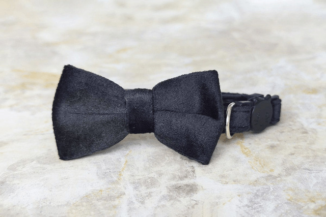 Velvet Black Collar
