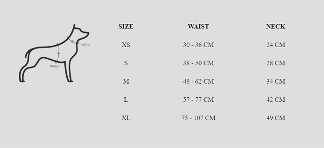 LCDP Mask Neo Mesh