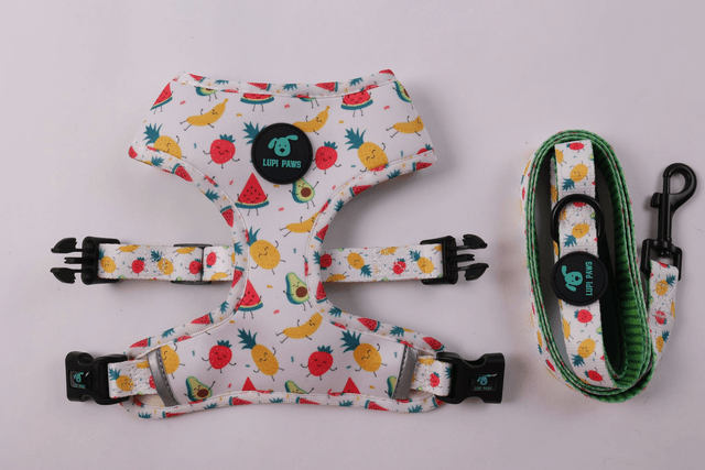 Tutti Frutti reversible harness