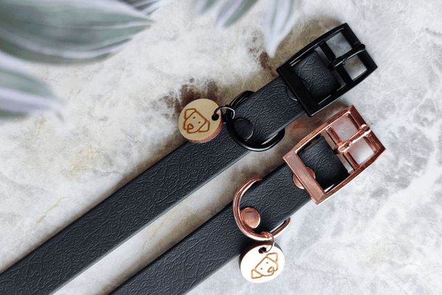 Meteor Collar with bowtie