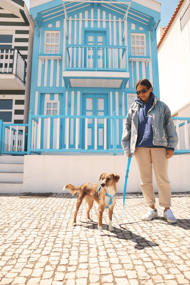 Colorflex Blue Leash