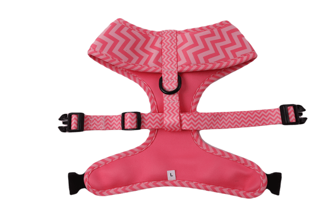 Pink Tail reversible harness