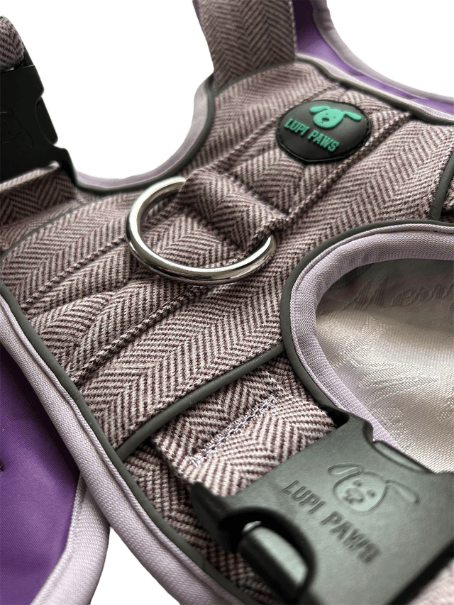 Tweed Harness - Purple