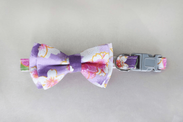 Floral Purple Mini Collar
