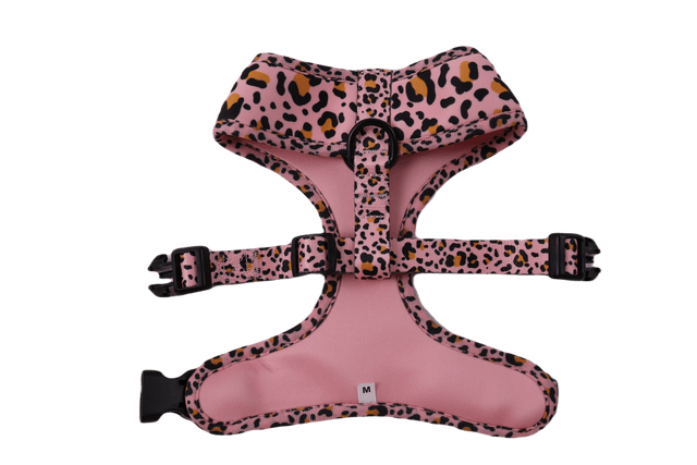 Leopawrd reversible harness