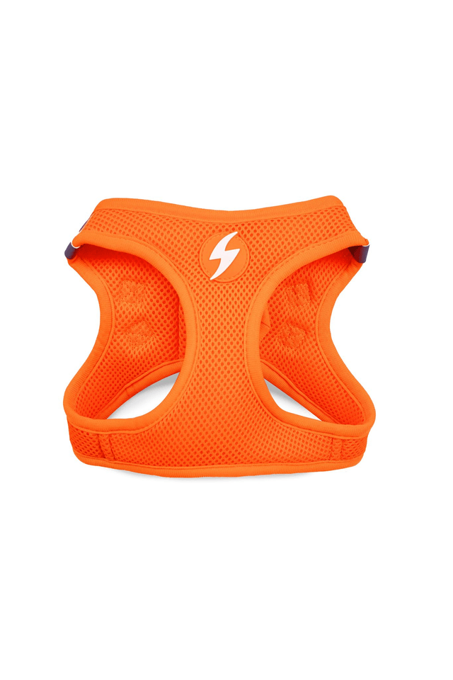 Neon Orange Oxy Mesh