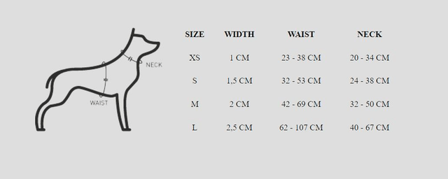 Betty You Back harness
