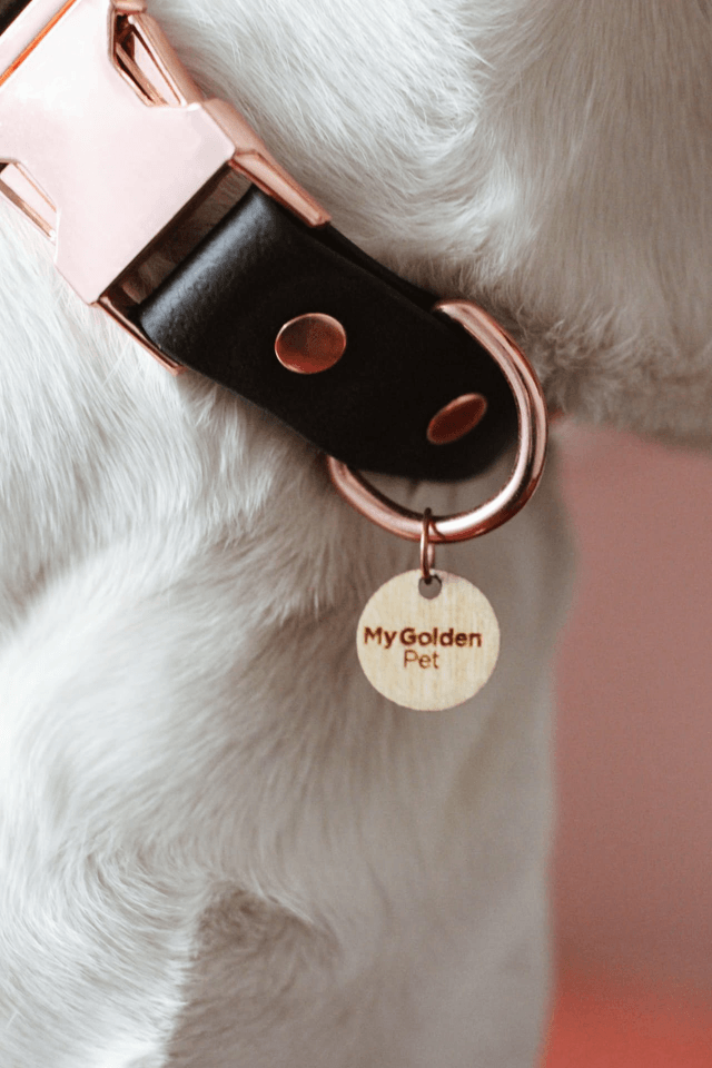 Black Meteor Collar