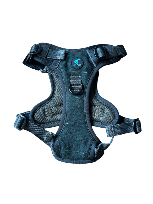 Tweed harness (small and medium breeds)