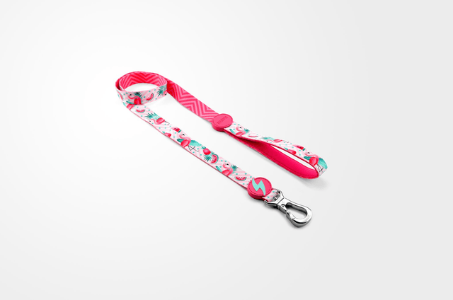 Flamingo Leash
