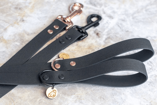 Meteor Leash