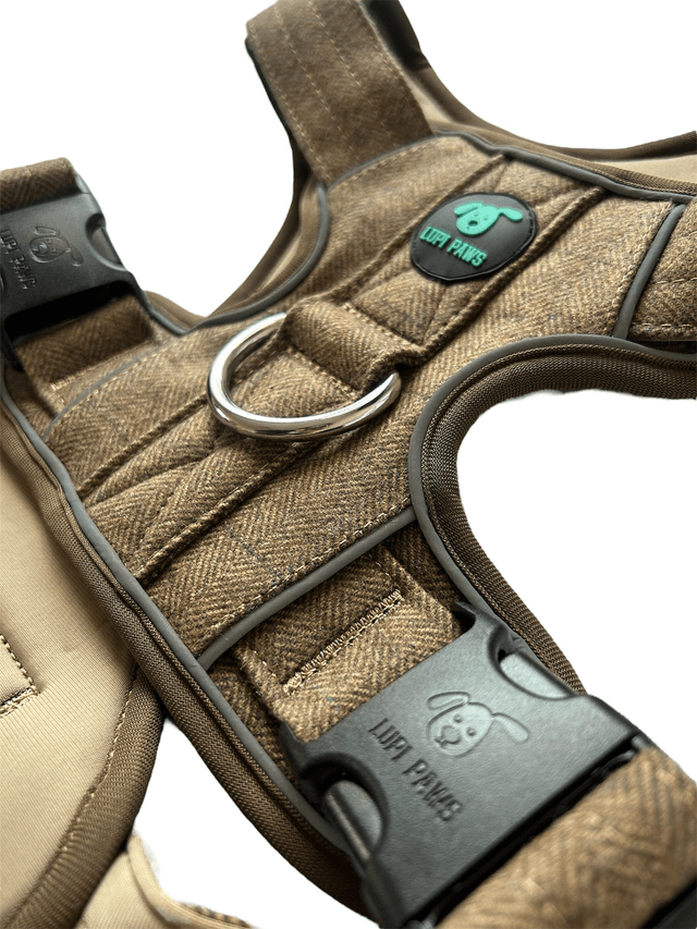 Tweed Harness - Brown