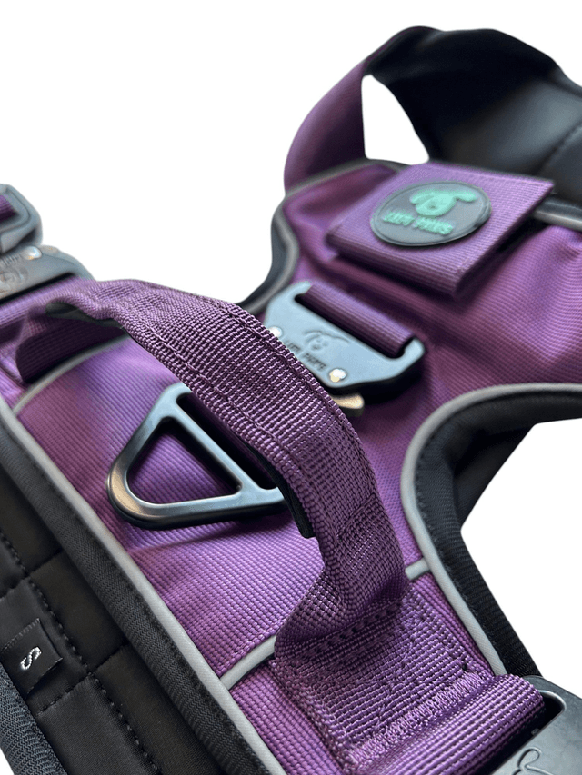 Tactical Harness - Purple