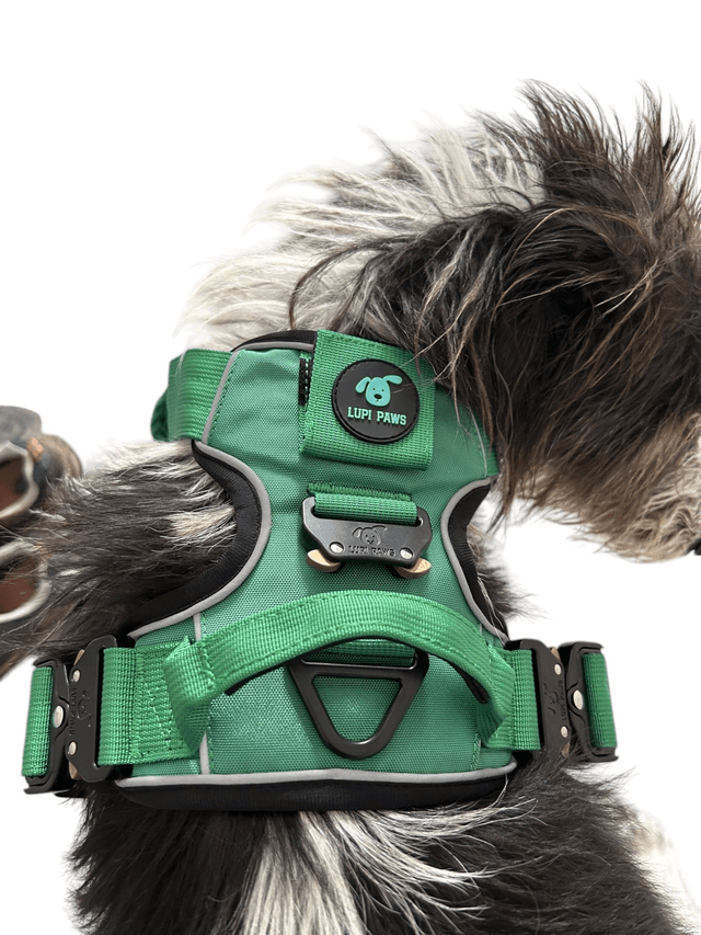Tactical Harness - Green