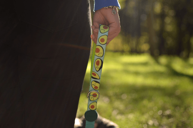 Avocado Leash