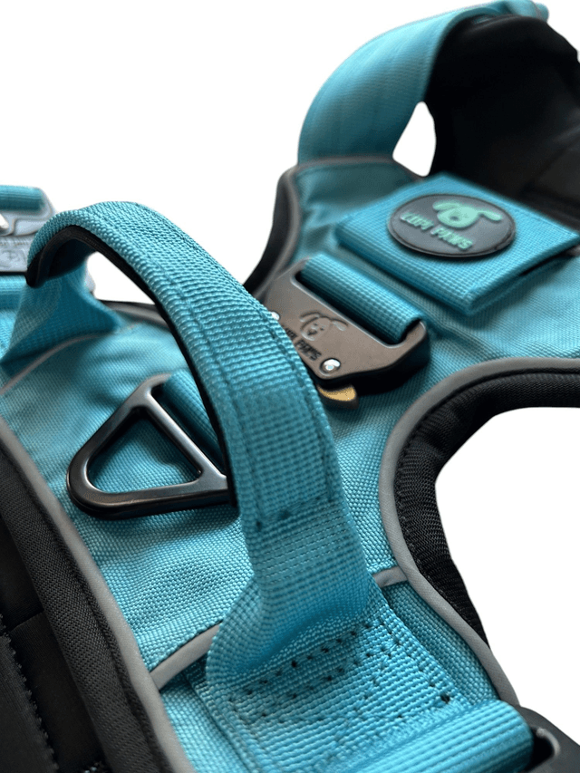 Tactical Harness - Blue