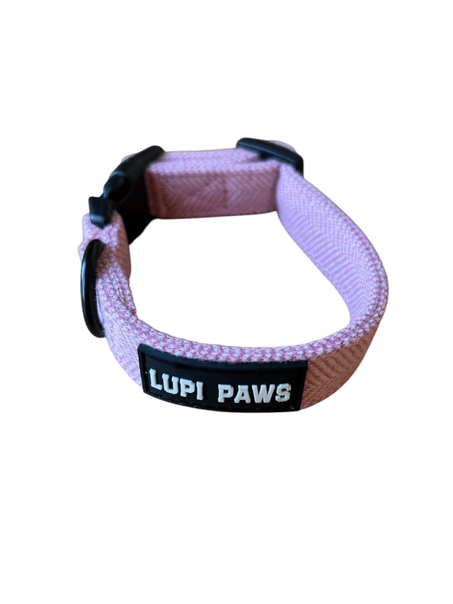 Tweed collar (small and medium breeds)