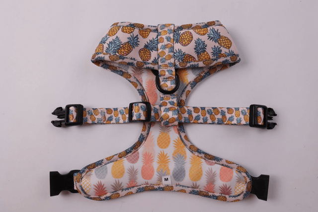 Ananas reversible harness