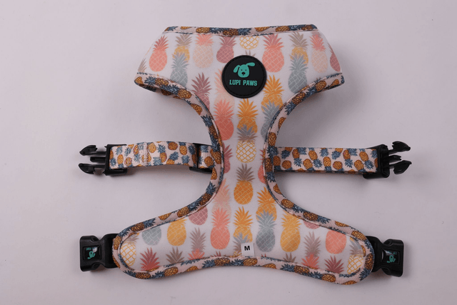 Ananas reversible harness