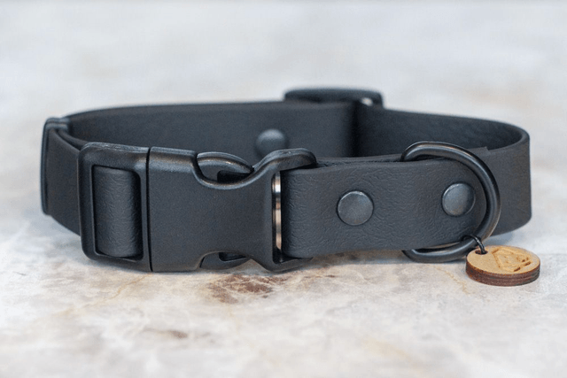 Black Meteor Collar