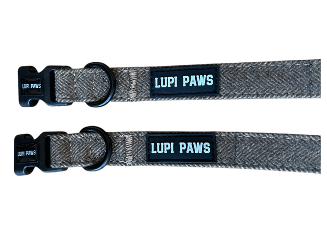 Tweed collar (small and medium breeds)