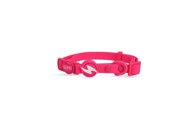 Colorflex cat collar
