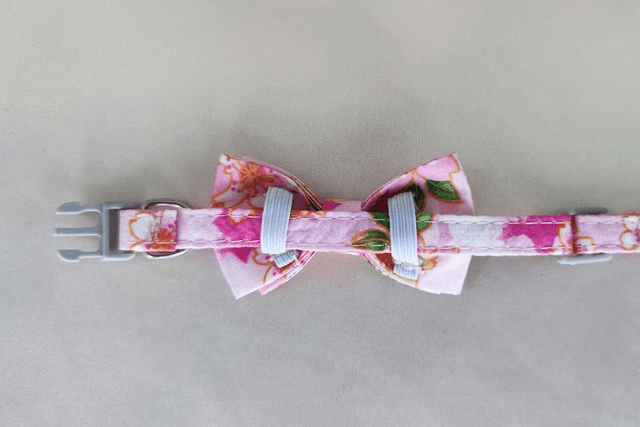Floral Pink Mini Collar