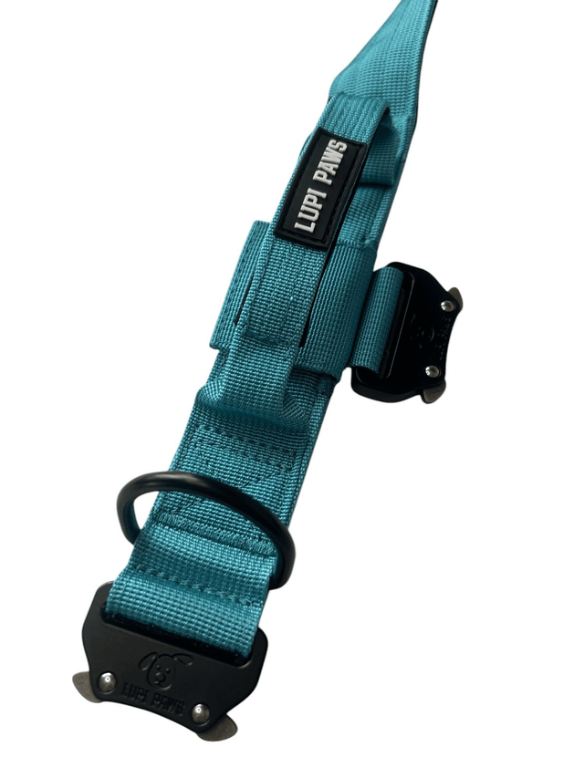 Tactical Collar - Blue