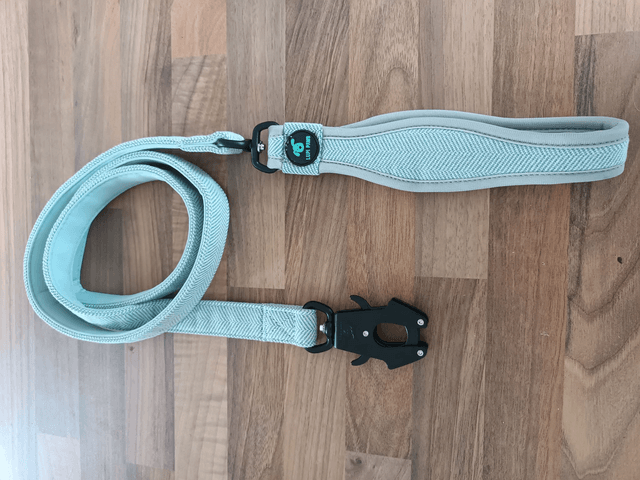 Tweed Leash