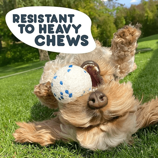 Ball Dog Toy (Extra Strong)