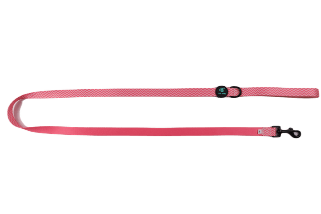Pink Tail Leash
