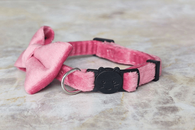 Velvet Rose Collar