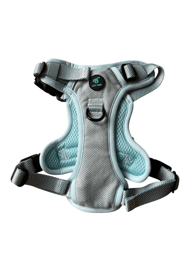 Tweed harness (small and medium breeds)