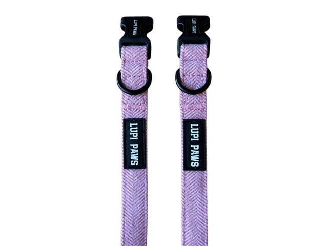 Tweed collar (small and medium breeds)