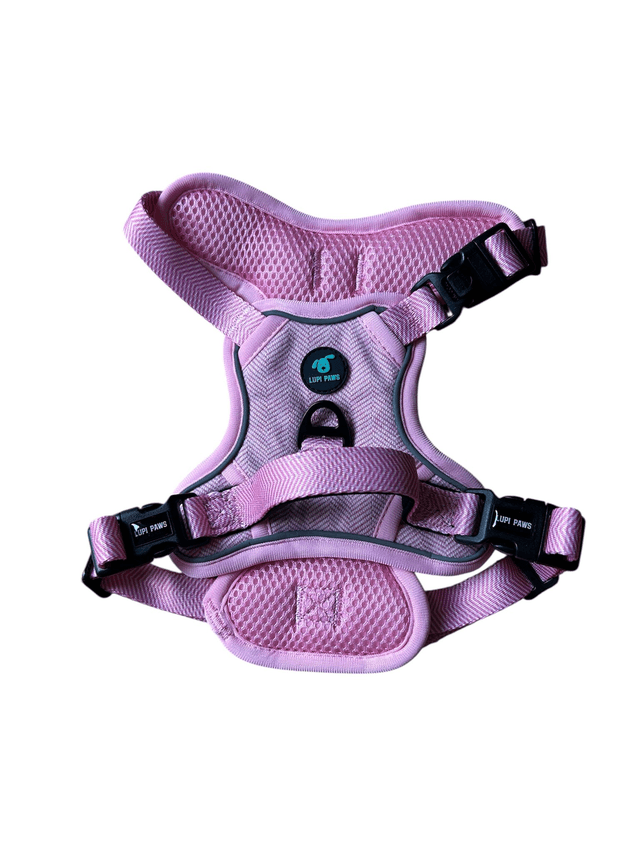Tweed harness (small and medium breeds)