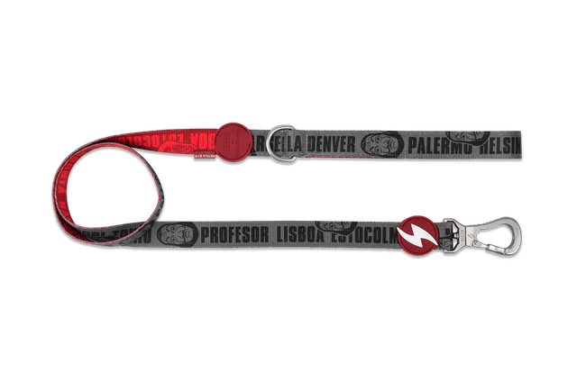 LCDP Melted leash