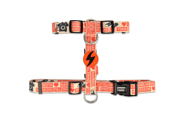 LCDP Jarana back harness