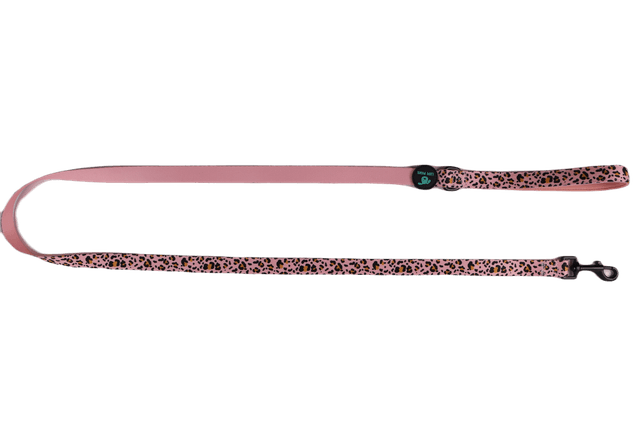Leopawrd Leash