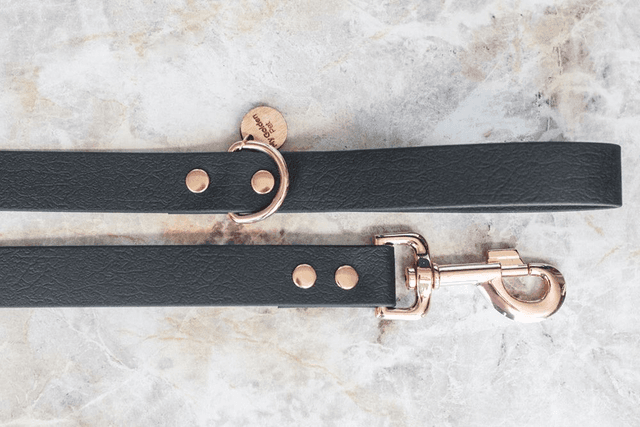 Meteor Leash