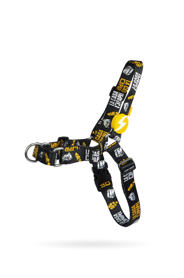 LCDP Golden front harness