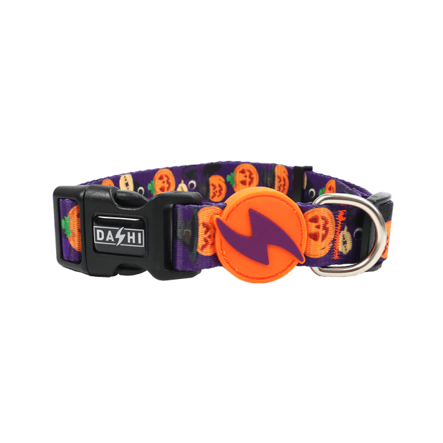 Pumpkin collar