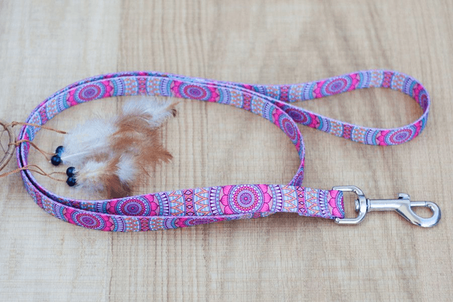 Joplin leash