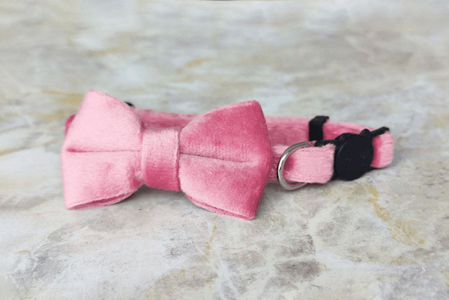 Velvet Rose Collar