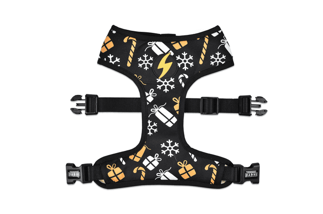 Spark Neo Mesh