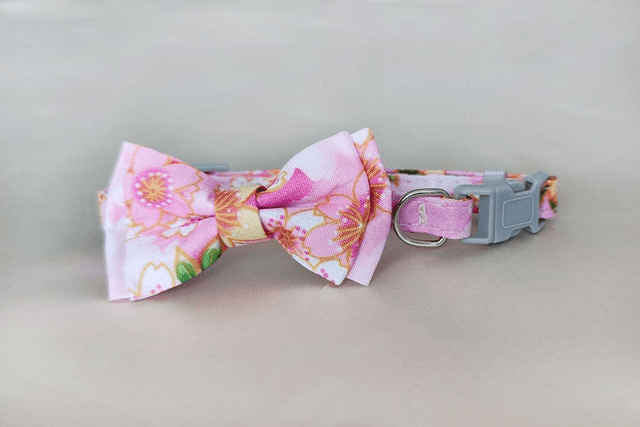 Floral Pink Mini Collar