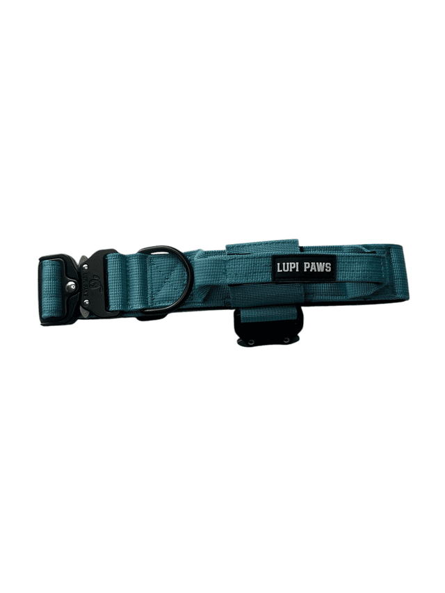 Tactical Collar - Blue