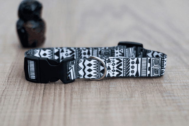 Safari collar