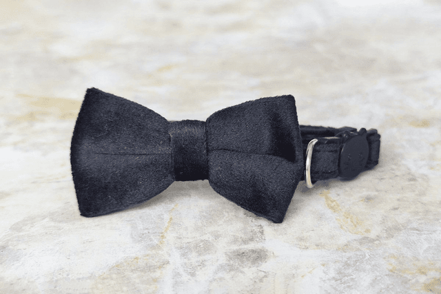 Velvet Black Collar