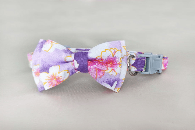 Floral Purple Mini Collar