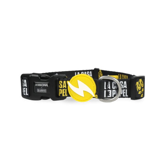 LCDP Golden collar